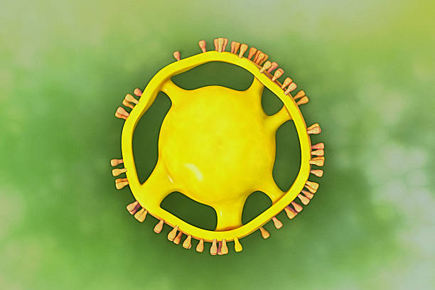 virginia coronavirus stats - cdc vaccine schedule hep c